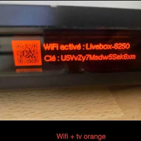 Joli Tres Accueillant 南特