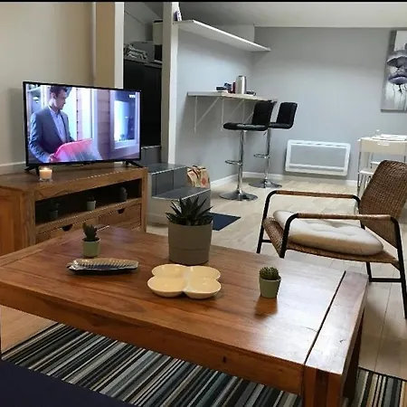 Joli Tres Accueillant Apartment Nantes