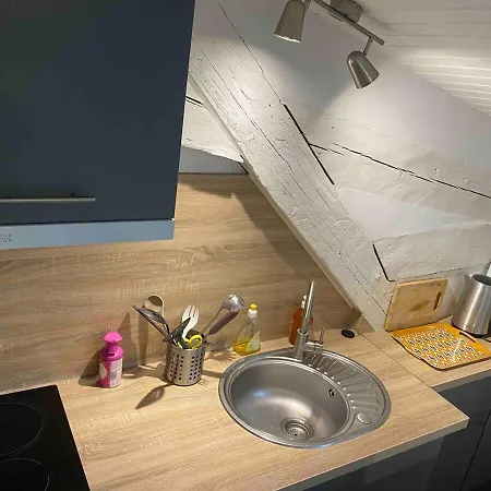 Joli Tres Accueillant Apartment Nantes