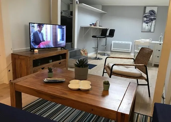 Joli Tres Accueillant Apartamento Nantes