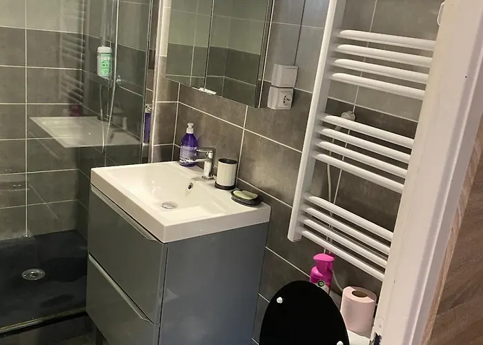 Joli Tres Accueillant Apartamento