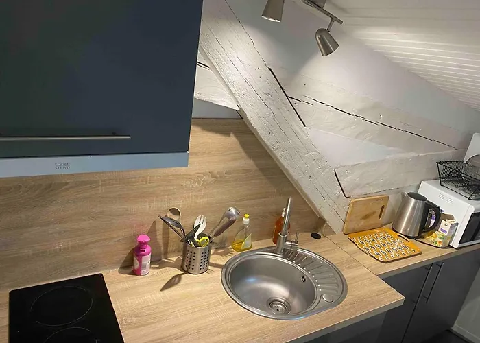 Joli Tres Accueillant Apartamento Nantes